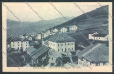 Trento folgaria cartolina usato  Gambolo