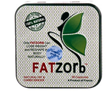 Fatzorb original weight d'occasion  Strasbourg-