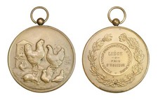O696 c1900 medaglia usato  Torino