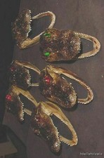 Wholesale lot gator for sale  Weirsdale