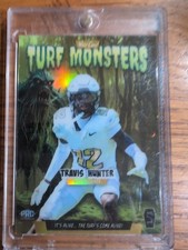 Wild card turf for sale  Mosinee