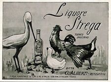 Pubblicita 1910 tonico usato  Biella