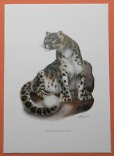 Schneeleopard irbis panthera gebraucht kaufen  Lauenburg/ Elbe