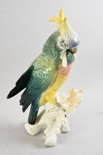 porzellan kakadu gebraucht kaufen porzellan kakadu gebraucht kaufen Neu-Ulm