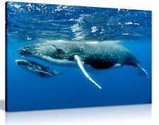 Humpback whale ocean for sale  LONDON