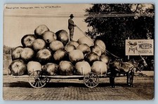 Exaggerated apples wonder for sale  Terre Haute