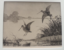 Snipe dawn etching d'occasion  Expédié en Belgium
