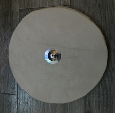 Shield 12in diameter for sale  CLEETHORPES