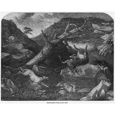 Deer stalking falling for sale  GLASGOW