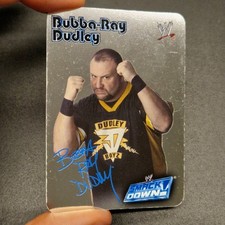 Bubba ray dudley usato  Nonantola