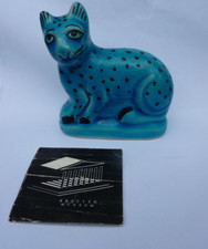 british blue cat for sale british blue cat for sale HITCHIN