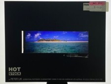 Rare peter lik for sale  Post Falls