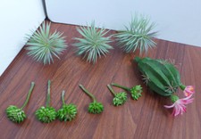 Small artificial succulents for sale  Indianapolis