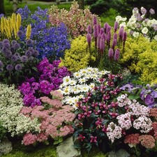 Yougarden pack mixed for sale  NEWCASTLE UPON TYNE