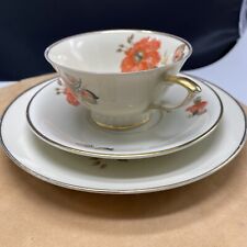 Porzellan alt schönwald gebraucht kaufen  Massing