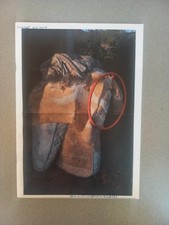 Graphzine rohmer mort d'occasion  Bordeaux-