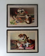 Images verre chats d'occasion Images verre chats d'occasion  Grand-Fougeray