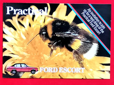 1980 ford escort for sale  BANGOR
