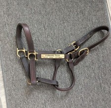 Used leather racehorse for sale  Mays Landing