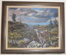 Mule deer oil for sale  Anchorage