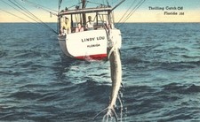 Usado, Cartão postal FL emocionante captura Flórida Lindy Lou barco de pesca vintage PC L9441 comprar usado  Enviando para Brazil