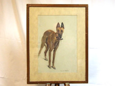 Marguerite frobisher greyhound for sale  BOGNOR REGIS