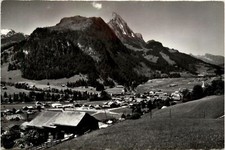 Saanen corno rapa usato  Spedire a Italy