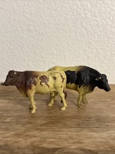 Black brown dairy for sale  Haines City