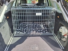 Pet sloping dog for sale  SUTTON