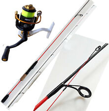 Canna pesca spinning usato  Terni