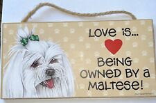 Love owned maltese for sale  Drain