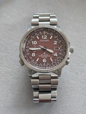 Citizen promaster perpetual for sale  Woodland