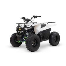 Quad hammer 125 usato  Melfi