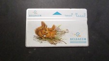 Cartão telefônico Bélgica Belgacom assunto animais à prova de esquilo 444H comprar usado  Enviando para Brazil
