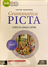 Grammatica picta. lezioni. usato  Figline Valdarno