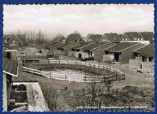 Grafschaft bentheim gildehaus gebraucht kaufen  Schüttorf