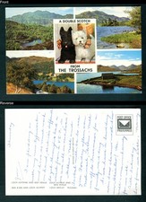 Double scotch trossachs for sale  LONDON