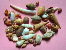 Various small sized d'occasion  Expédié en Belgium