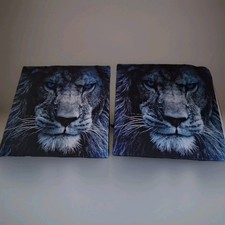 Colored eyed lion for sale  Port Hueneme