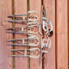 Animal & Rodent Control for sale  BATH