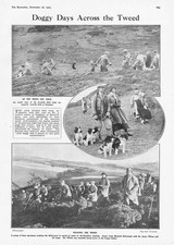 Dunglass ninth scottish for sale Dunglass ninth scottish for sale  GLASGOW