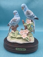 parakeets 15 for sale parakeets 15 for sale Ocala