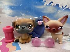 Lps petshop authentic d'occasion  France