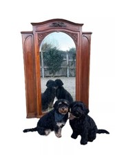 Antique huge french for sale  ASHBY-DE-LA-ZOUCH