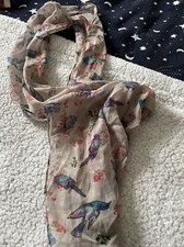 Pretty sheer exotic for sale  WEYMOUTH