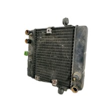 Radiatore honda jazz usato  Barrafranca