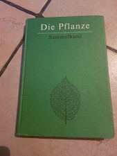Pflanze sammelband werner gebraucht kaufen  Wenzenbach