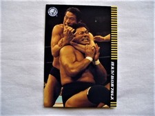 Antonio inoki tenryu d'occasion  Expédié en France
