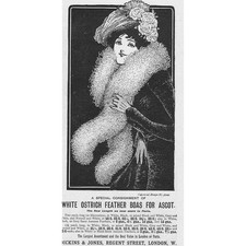 Dickins jones white for sale  GLASGOW