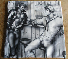 Tom finland kissenbezug gebraucht kaufen  Schönsee